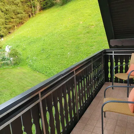 Апартаменты Irvin Краньска Гора