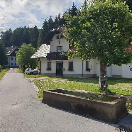 Irvin Kranjska Gora
